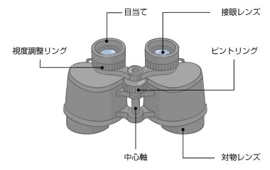 双眼鏡の各部名称